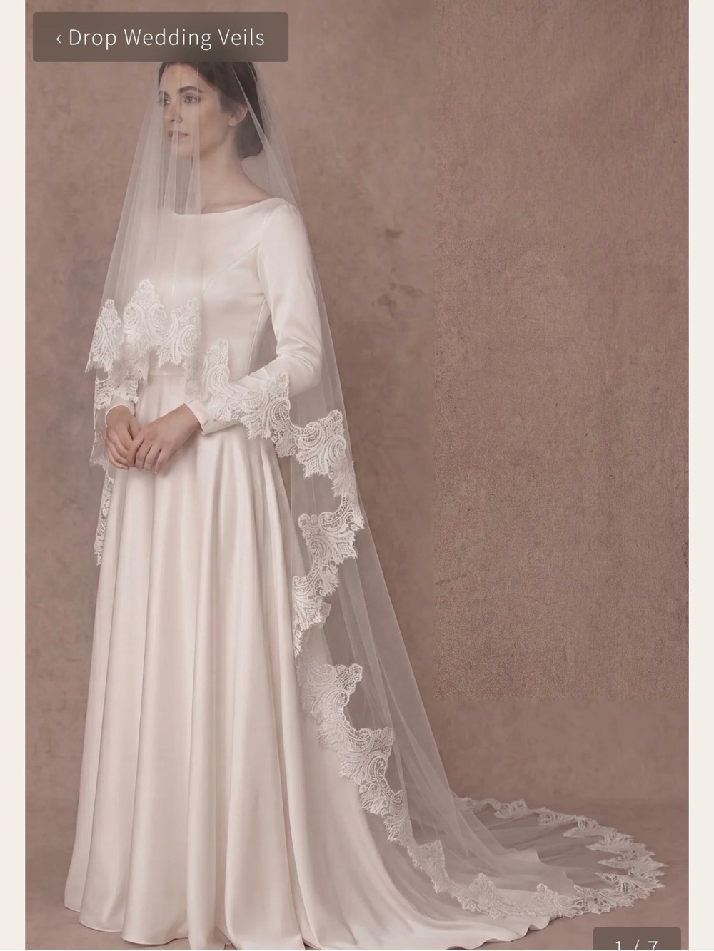 Lace trim blusher veil